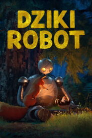 Dziki robot vider