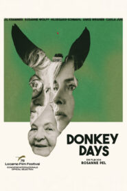 Donkey Days vider