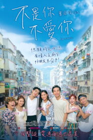 不是你不愛你 vider