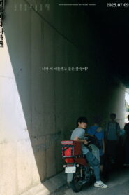 여름이 지나가면 vider