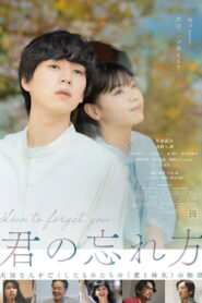 君の忘れ方 vider