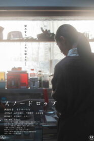 スノードロップ vider