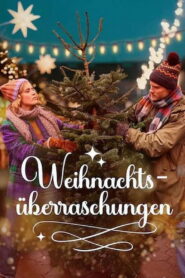 Weihnachtsüberraschungen vider