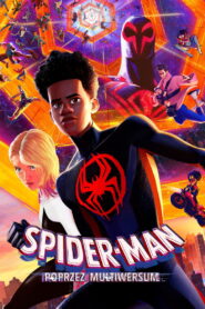 Spider-Man: Poprzez multiwersum vider