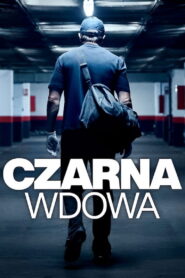 Czarna wdowa vider