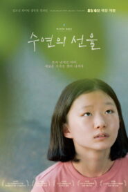 수연의 선율 vider