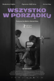Wszystko w porządku vider