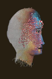 Ścieżka czasu vider