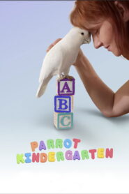 Parrot Kindergarten vider