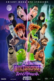 Hotel Transylwania 4 vider