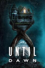 Until Dawn vider