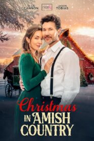Christmas in Amish Country vider