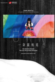 白孃孃：一朵遲桂花 vider