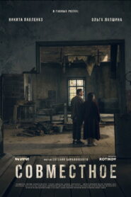 Совместное vider