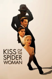 Kiss of the Spider Woman vider