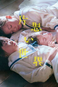 片思い世界 vider