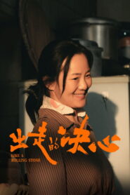 出走的决心 vider