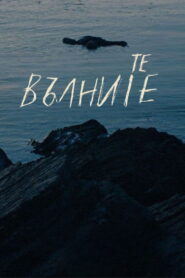 Те, вълните vider