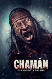 Shaman vider