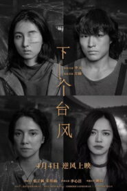 下一个台风 vider