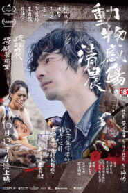 動物感傷の清晨 vider