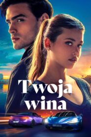 Twoja wina vider