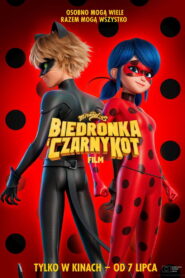 Miraculous: Biedronka i Czarny Kot. Film vider