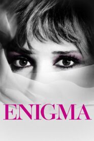 Enigma vider