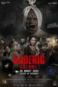 Djoerig Salawe vider