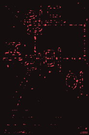 월드 프리미어 vider