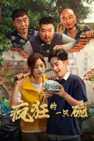 疯狂的一只碗 vider