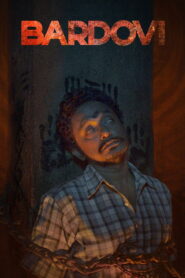 बारडोवी vider