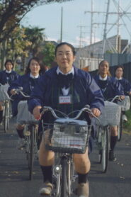 ミルクレディ vider