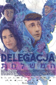 Delegacja vider