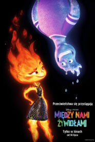 Między nami żywiołami vider