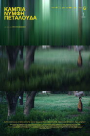 Κάμπια Νύμφη Πεταλούδα vider