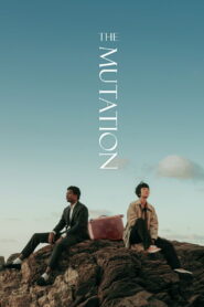 사랑의 탄생 vider