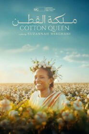 Cotton Queen vider