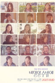 비밀일 수밖에 vider