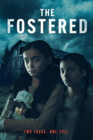 The Fostered vider