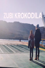 Zubi krokodila vider