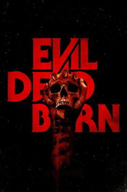 Evil Dead Burn vider