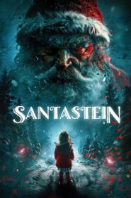 Santastein vider