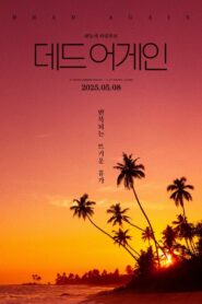 데드 어게인 vider