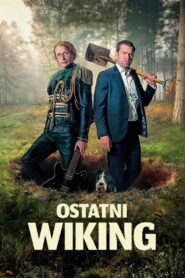Ostatni wiking vider
