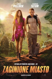 Zaginione miasto vider