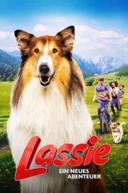 Lassie. Nowe przygody vider