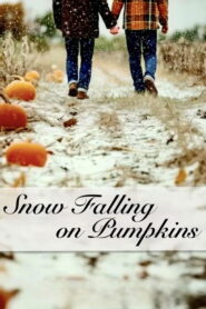 Snow Falling on Pumpkins vider