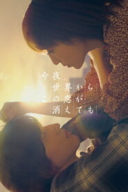 今夜、世界からこの恋が消えても vider