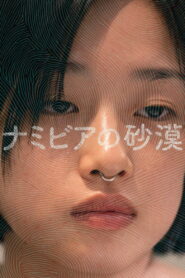 Pustynia w Namibii vider